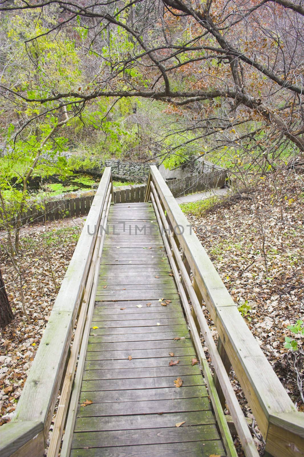 View of the trail with wooden walkways 
