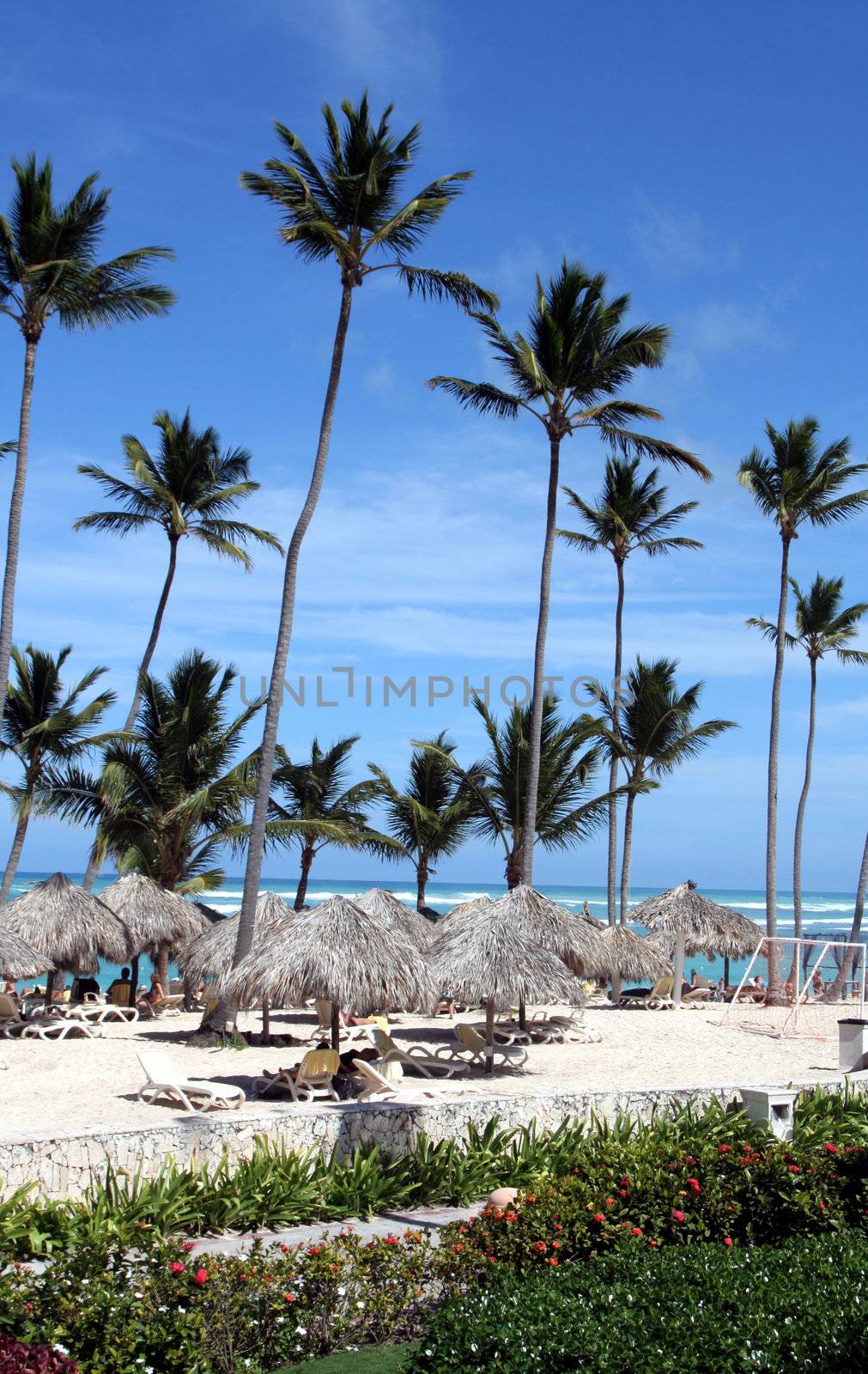 The stunning beach front of a resort on the beach at Punta Cana, Dominican Republic.