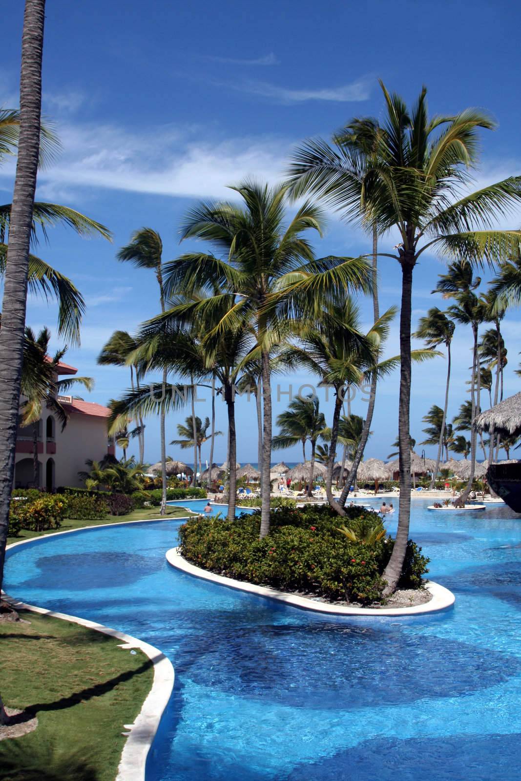 The beautiful pool at a tropical resort.