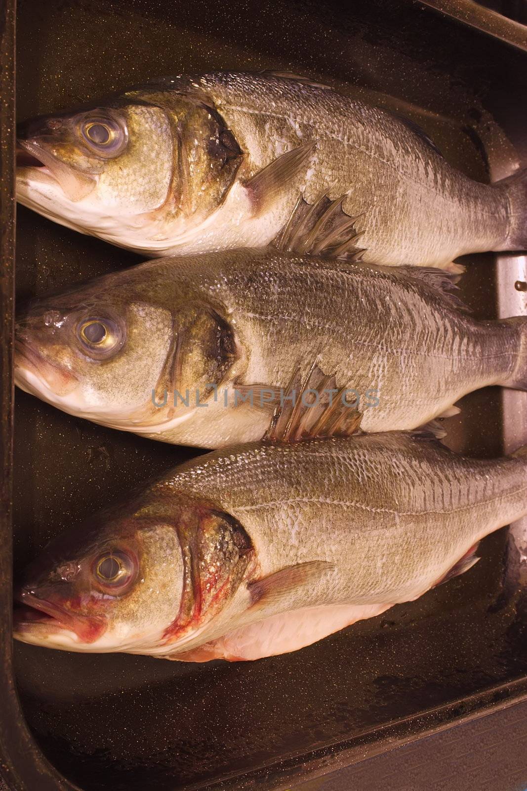 three sea bass on a tray ready to cook