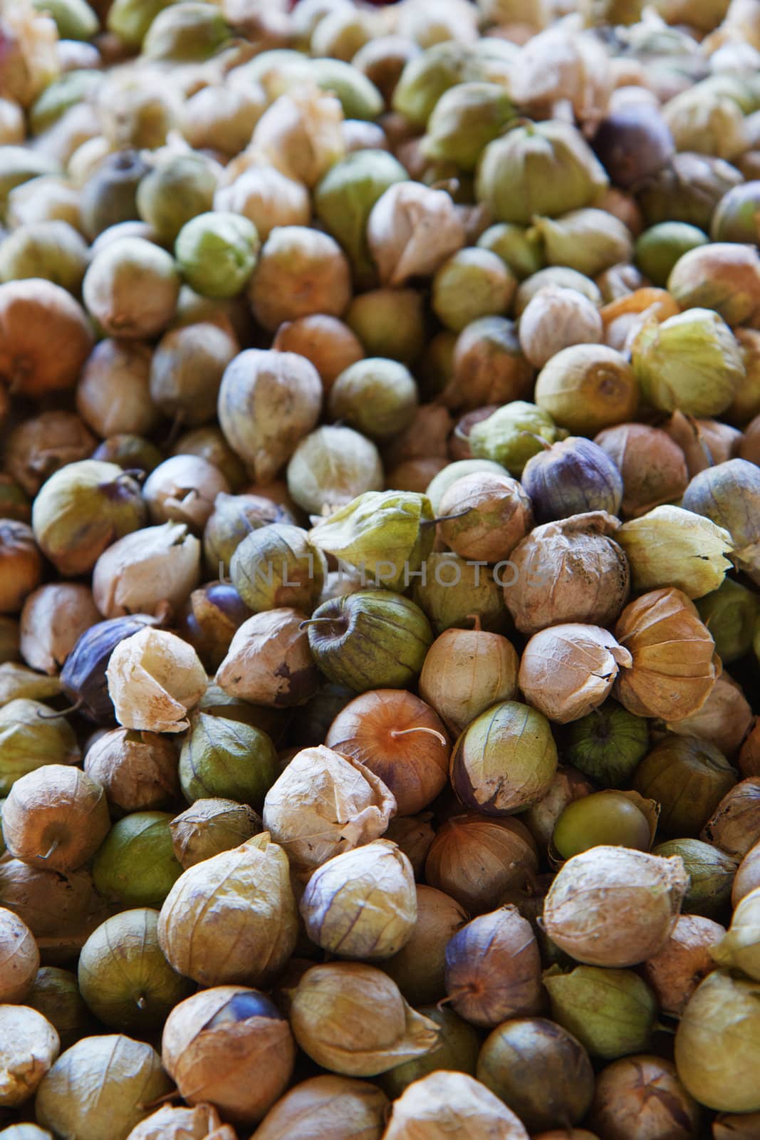 Pile of Tomatillos by bobkeenan