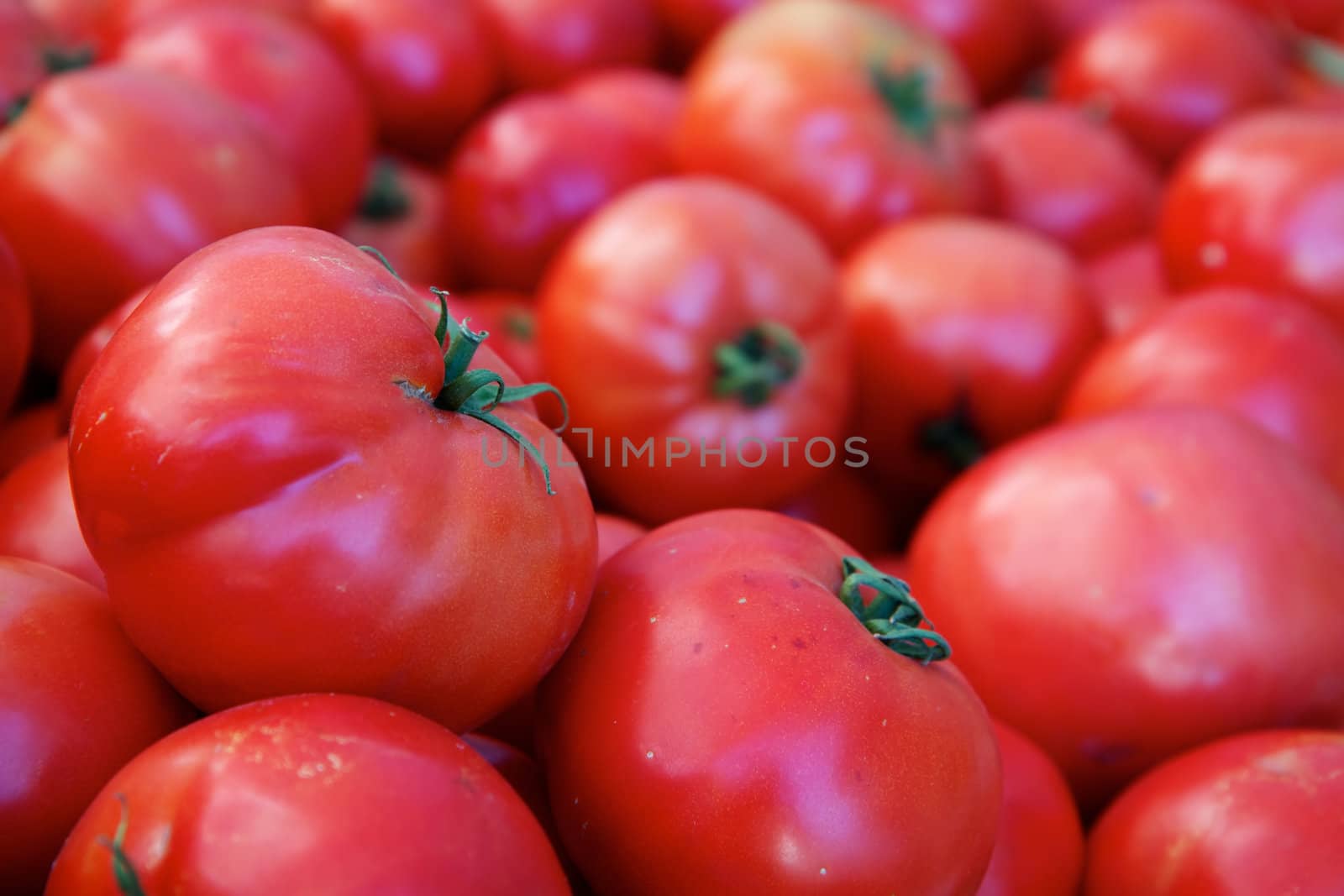 Pile of tomatoes single focus by bobkeenan
