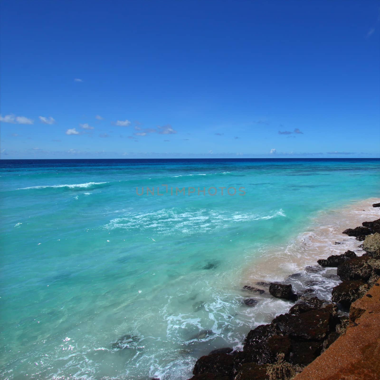 A view of the Atlantic Ocean from the rocky coast of Barbados.