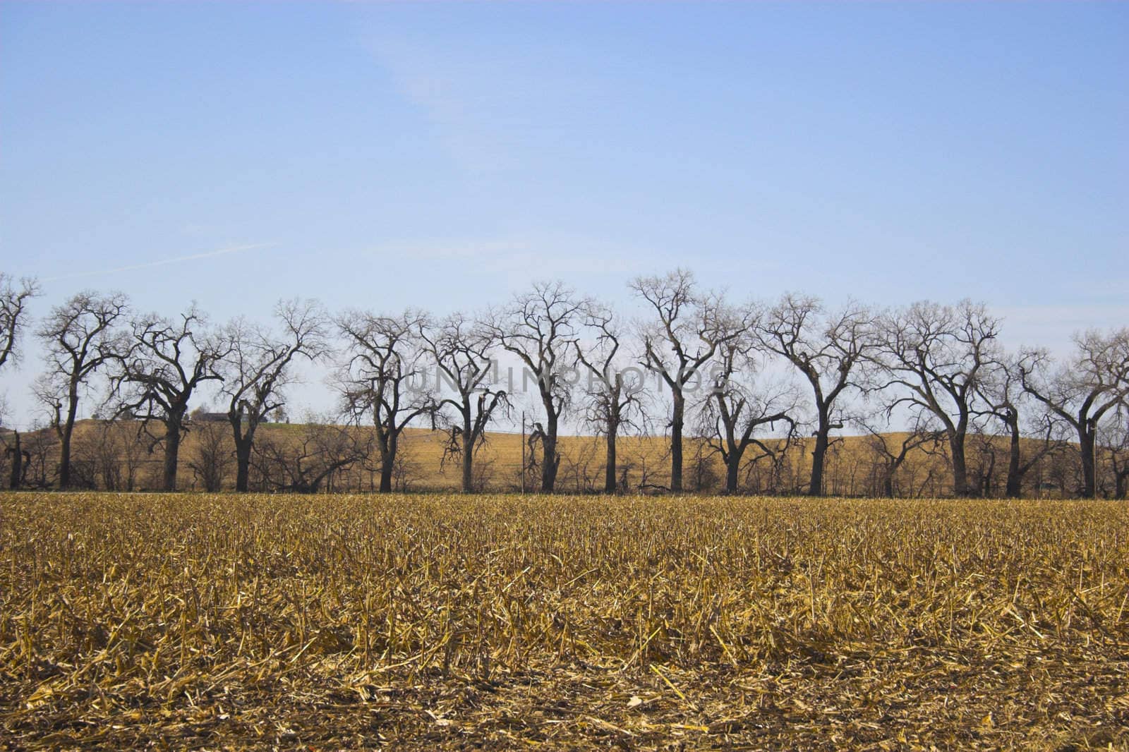 Farmscape by georgeburba