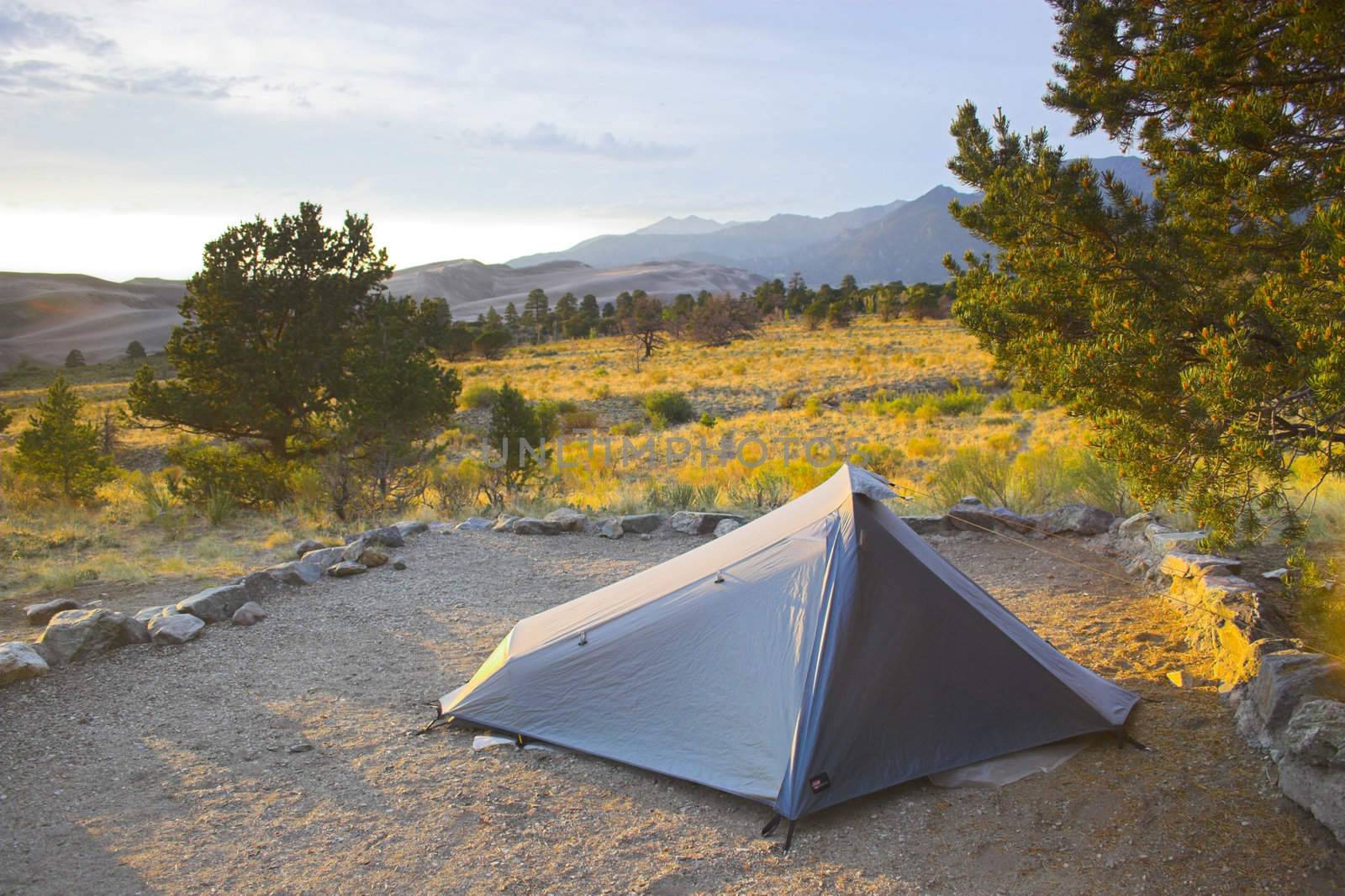 Camping and tent  at oasis in great sand dunes during sunset 