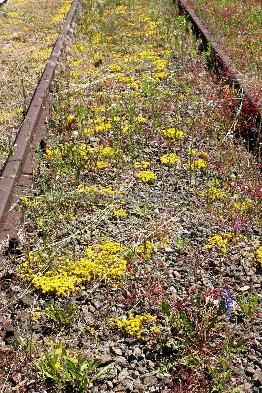 Rail tracks are the surface structures that support and guide trains or other rail-guided transportation vehicles.