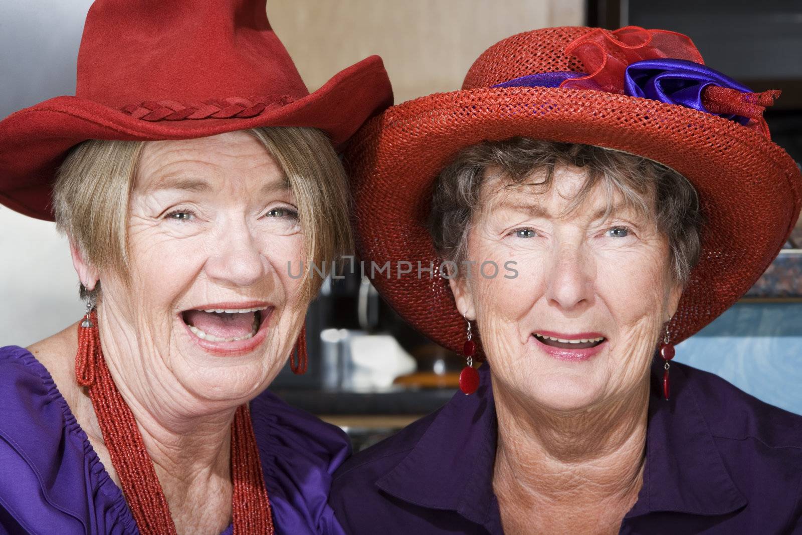 Two friendly senior women wearing red hats