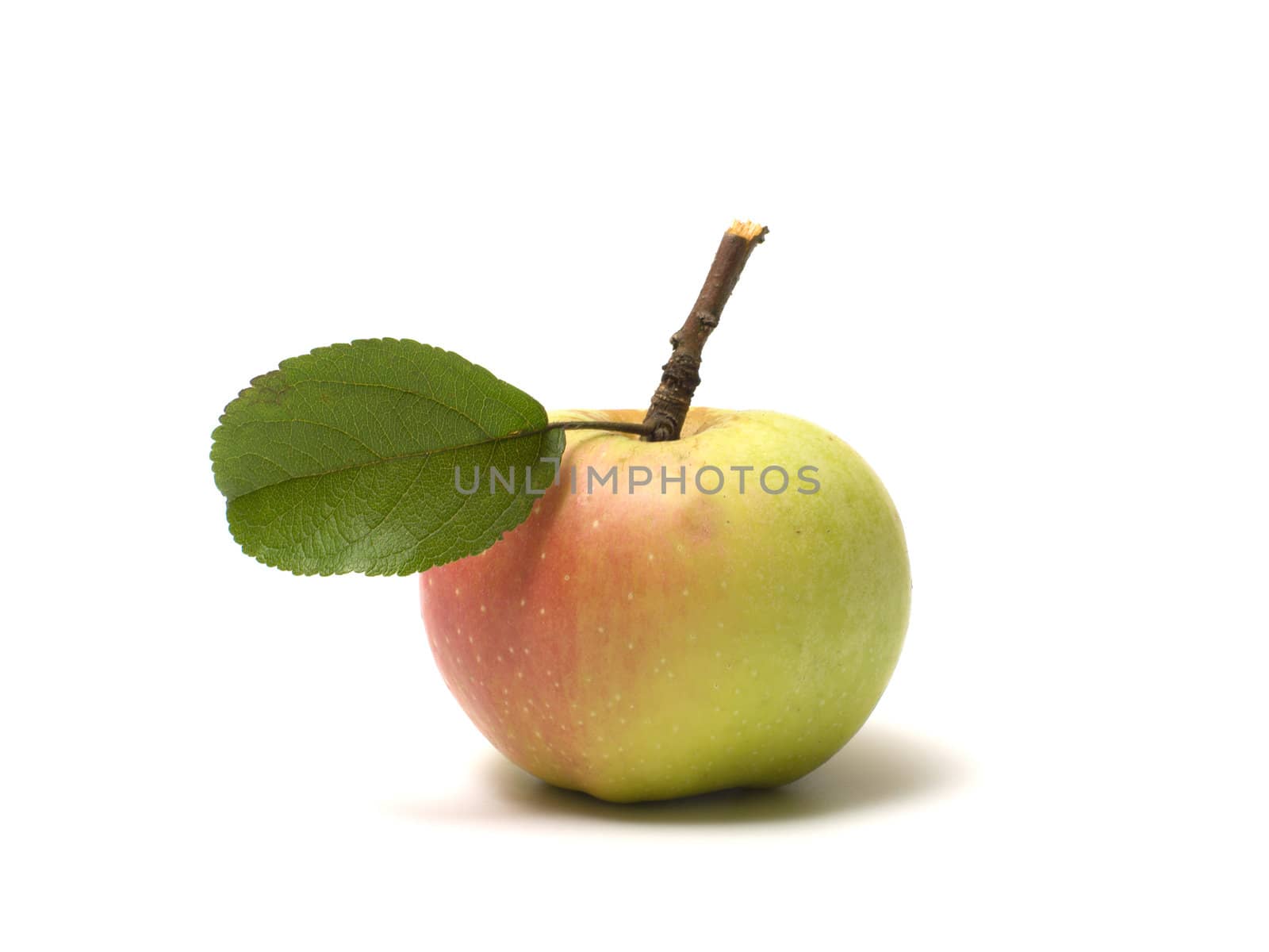 Ripe apple isolated on a white background.