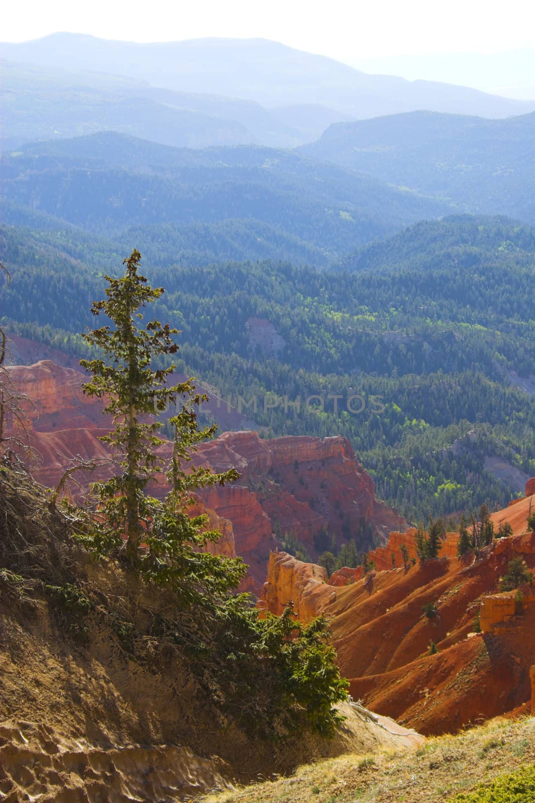 Cedar Breaks National Monument in Utah, USA