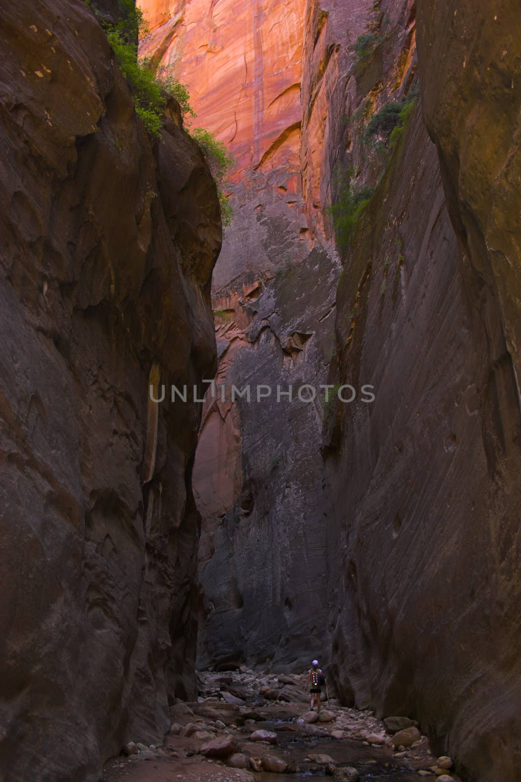 Hikers inside huge and narrow canyon