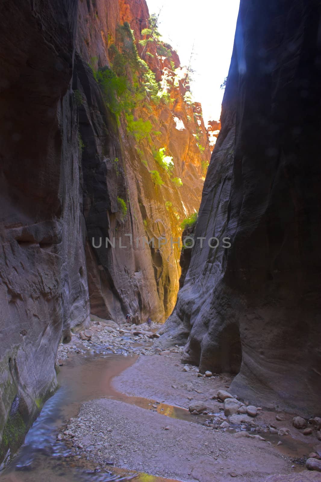 Canyons made with rivers and creeks in Zion National Park in Utah, USA