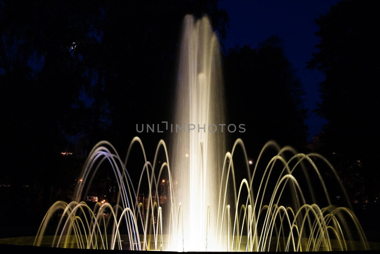 Fountain in night