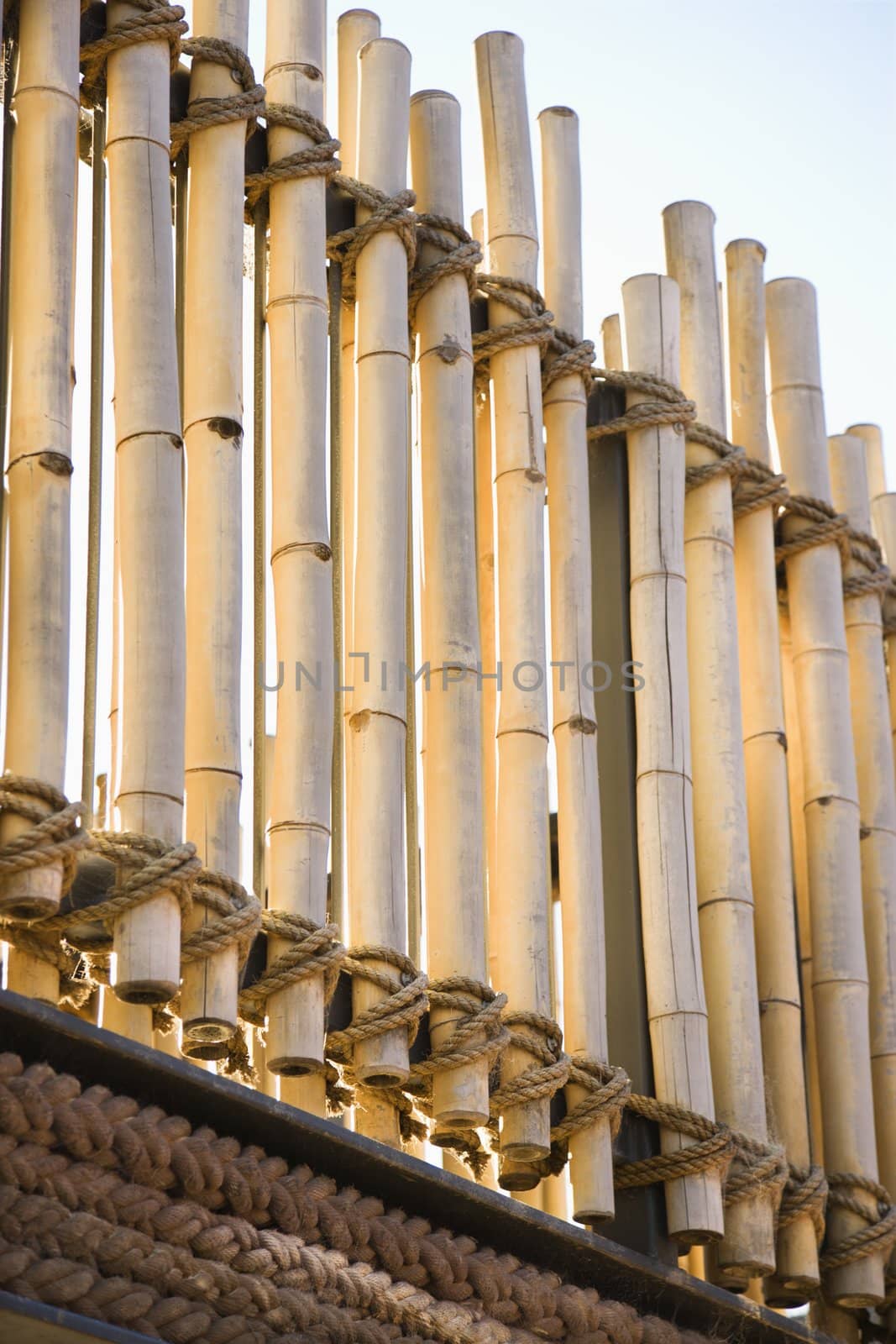 Cut bamboo stalk railing tied with rope.