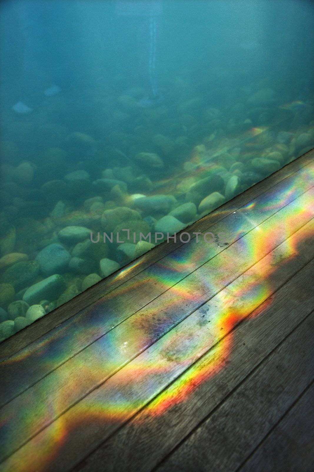 Aquarium with rainbow pattern of light passing through water onto wood paneling.