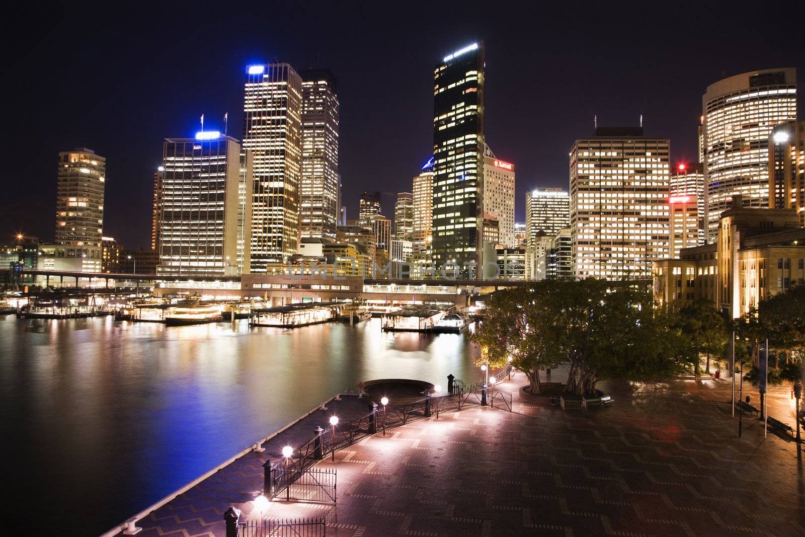 Cityscape of Sydney, Australia with harbor and buildings at night.