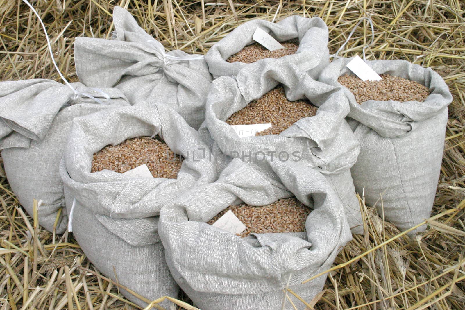 a bag with wheat crop
