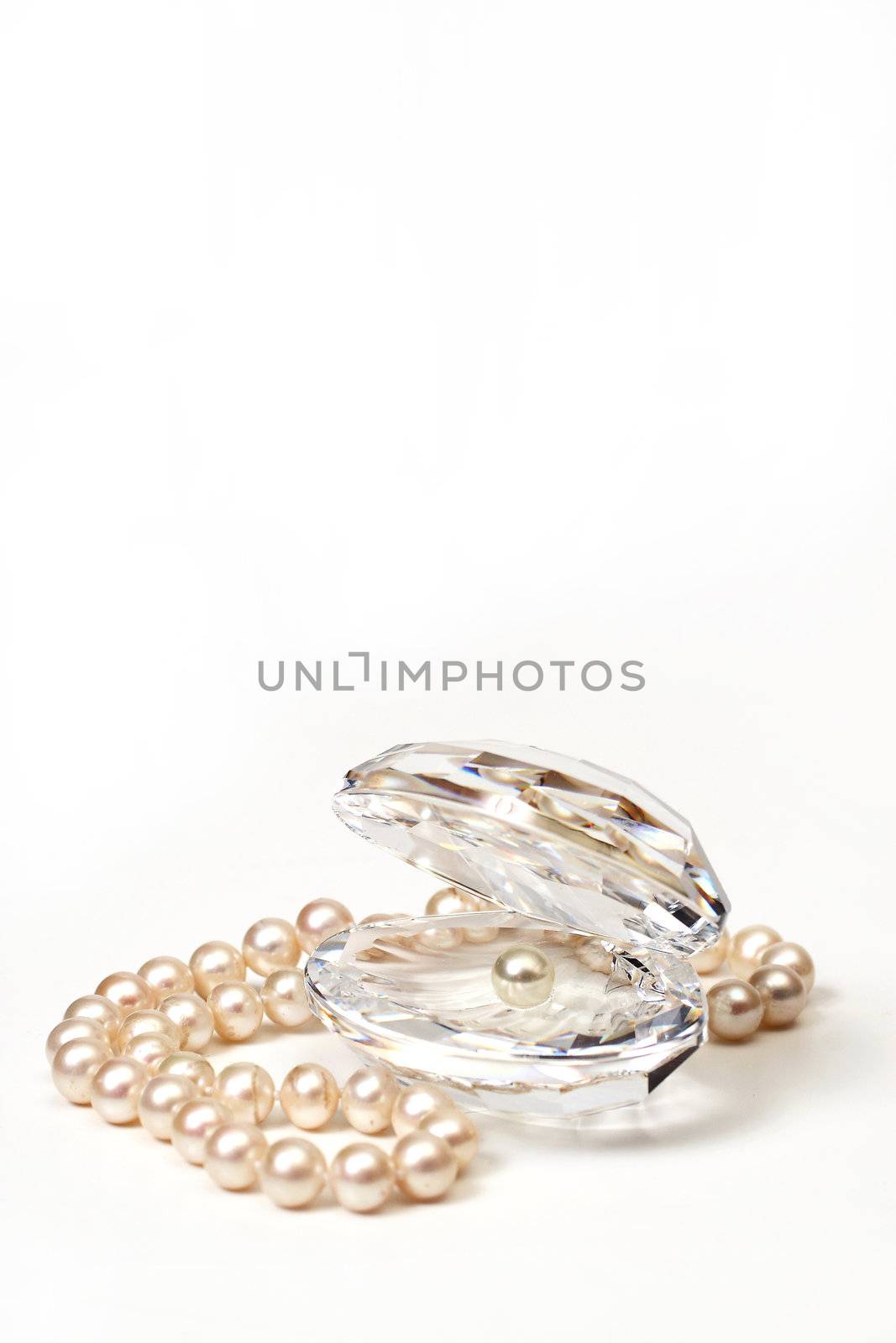 Shell & beautiful beads with pearls