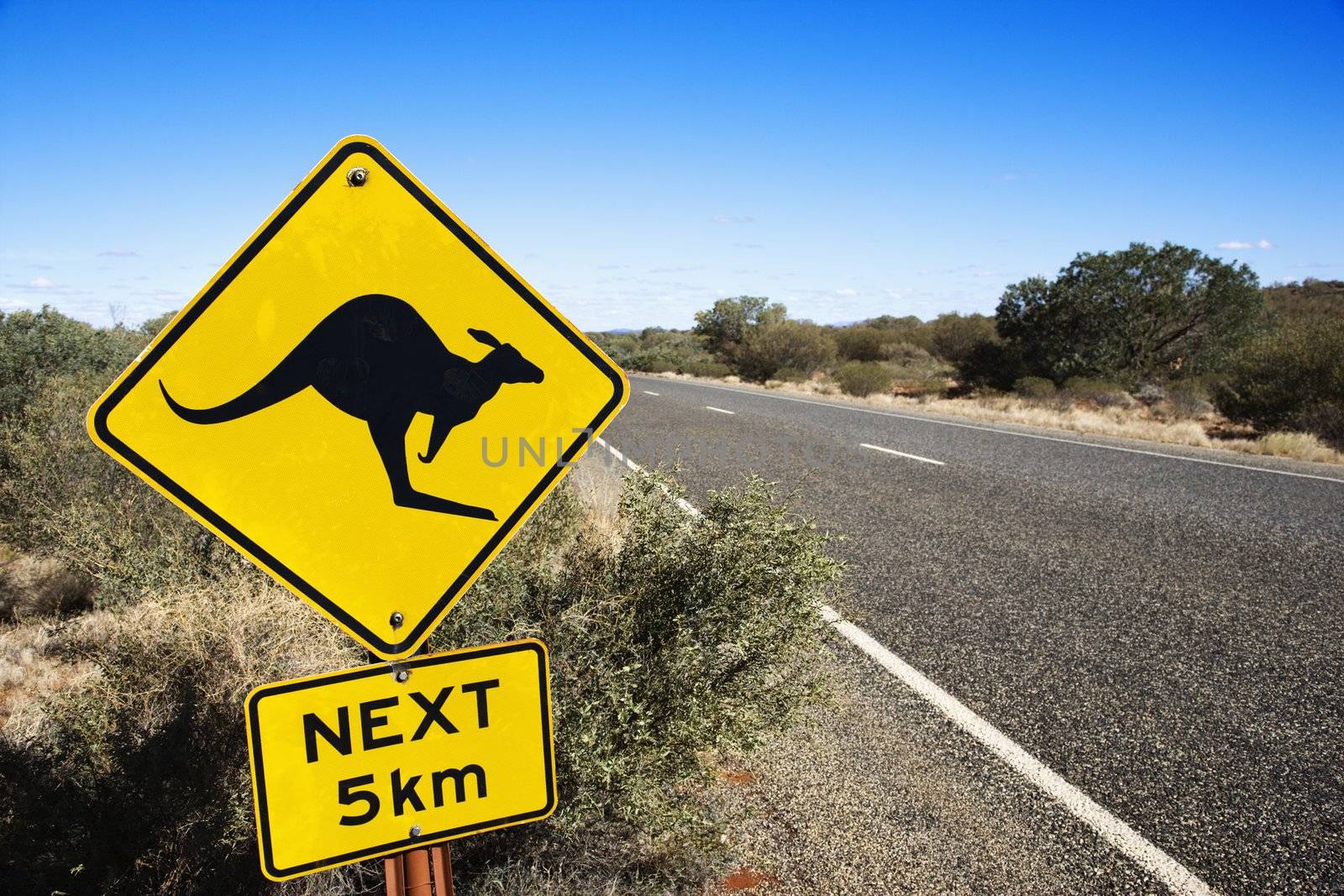 Kangaroo crossing sign by road in rural Australia.