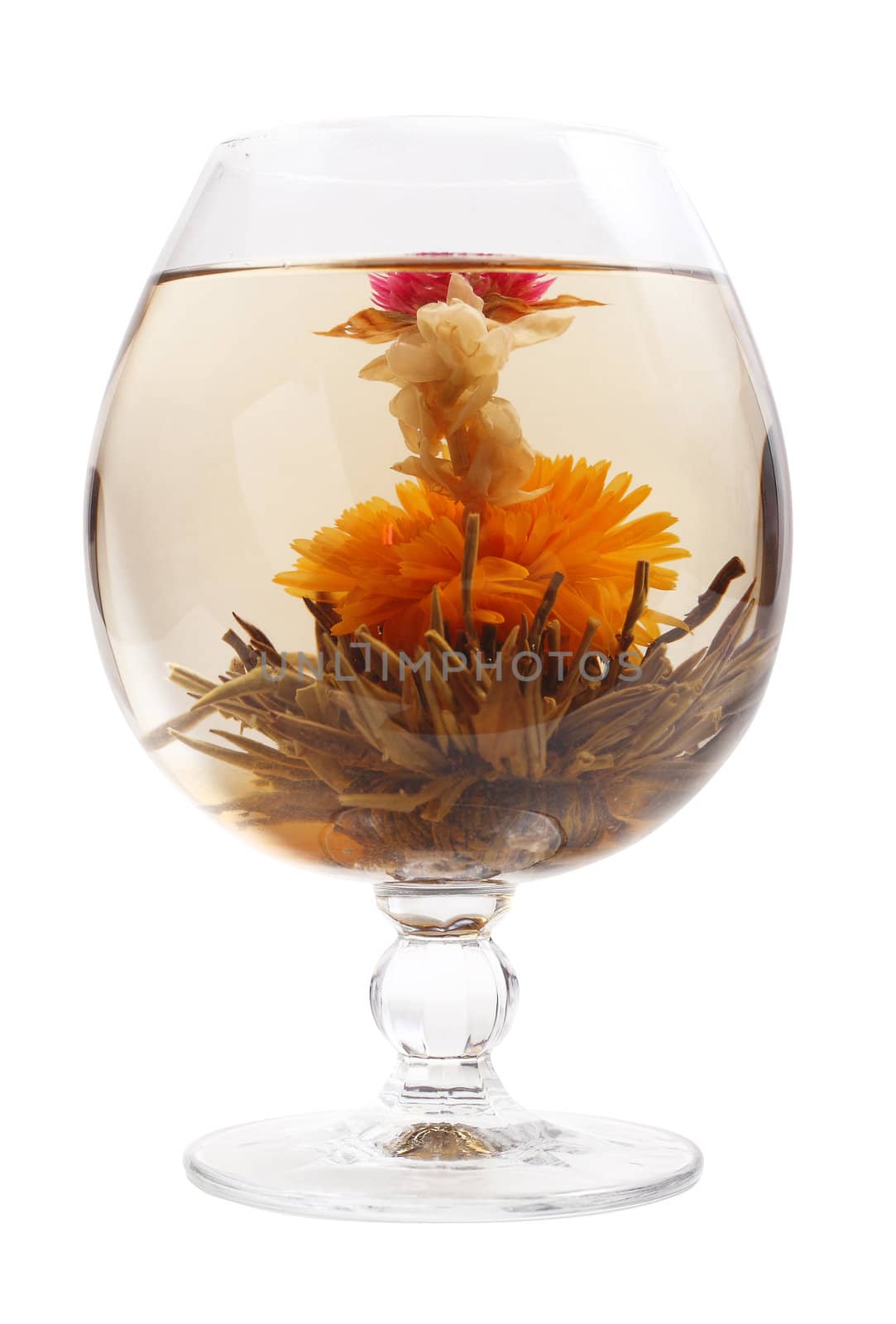 Glass with a blooming flower green tea on white background