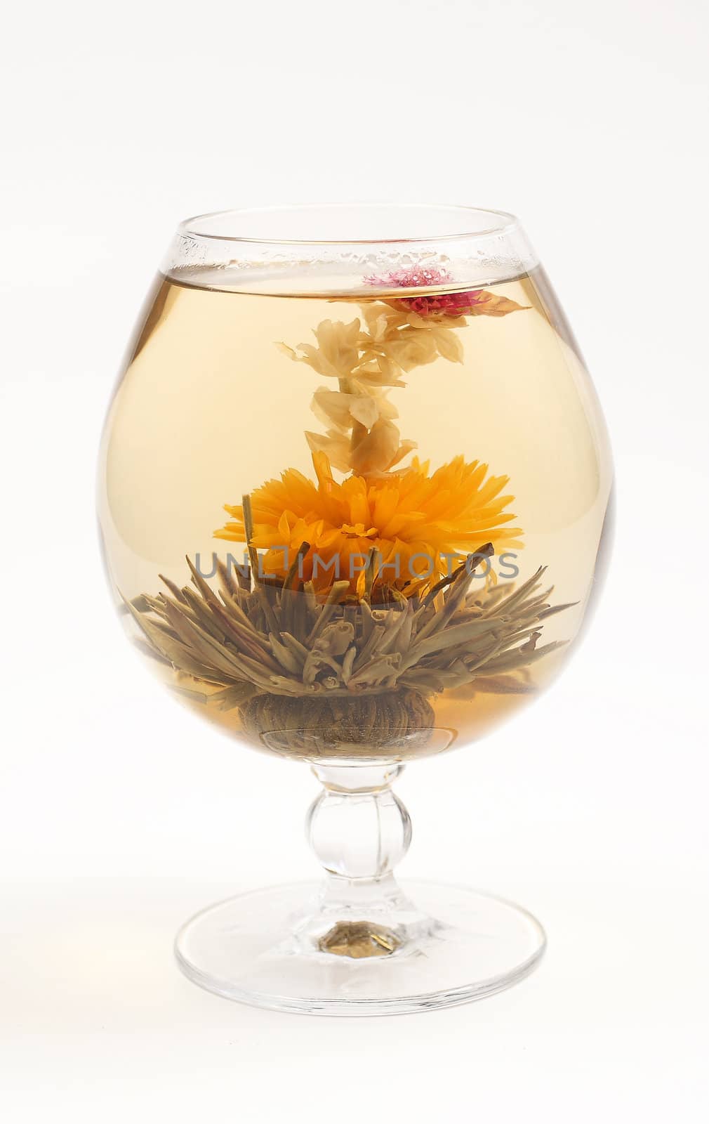 Glass with a blooming flower green tea on white background