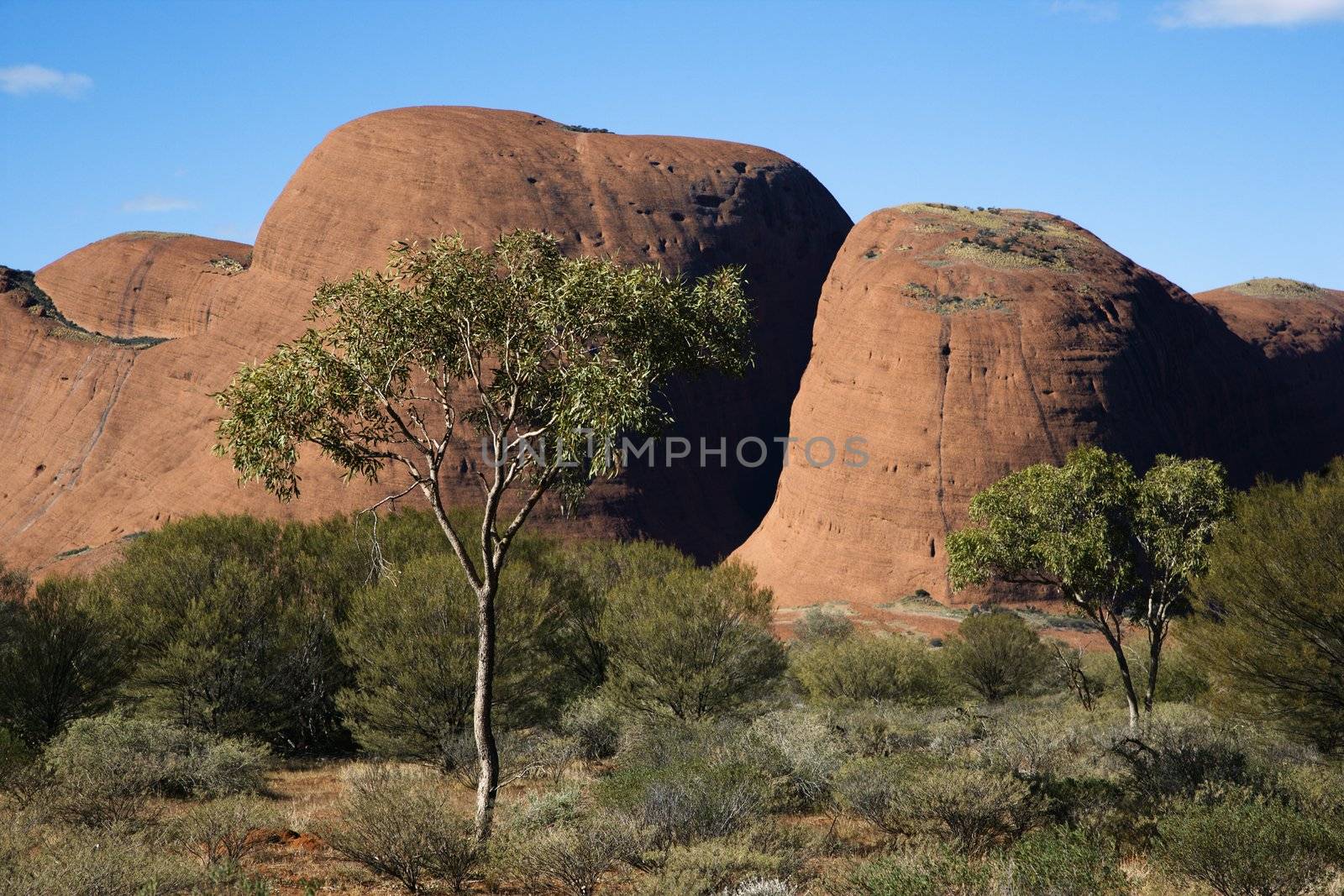 The Olgas rock formation in Uluru Kata Tjuta National Park, Australia.