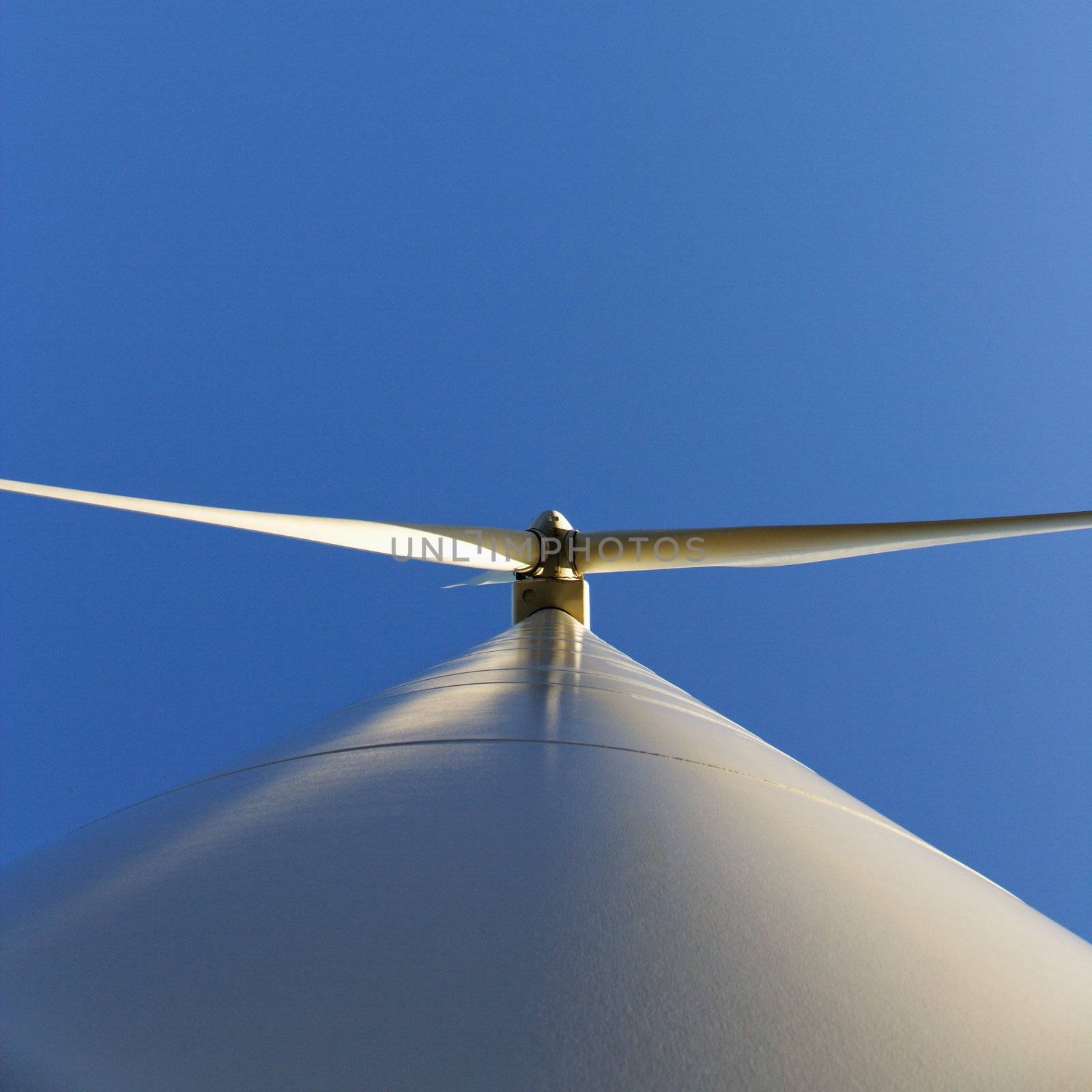 Low angle of wind turbine. by iofoto