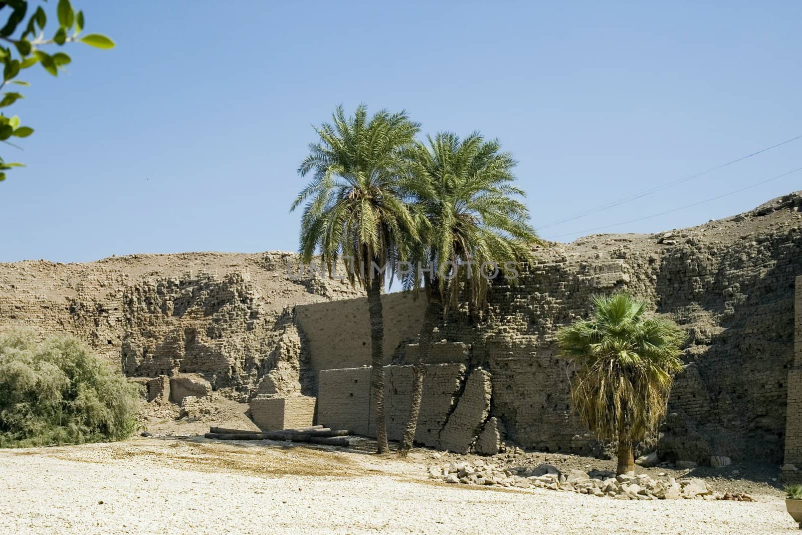 Luxor. Karnak by dolnikow