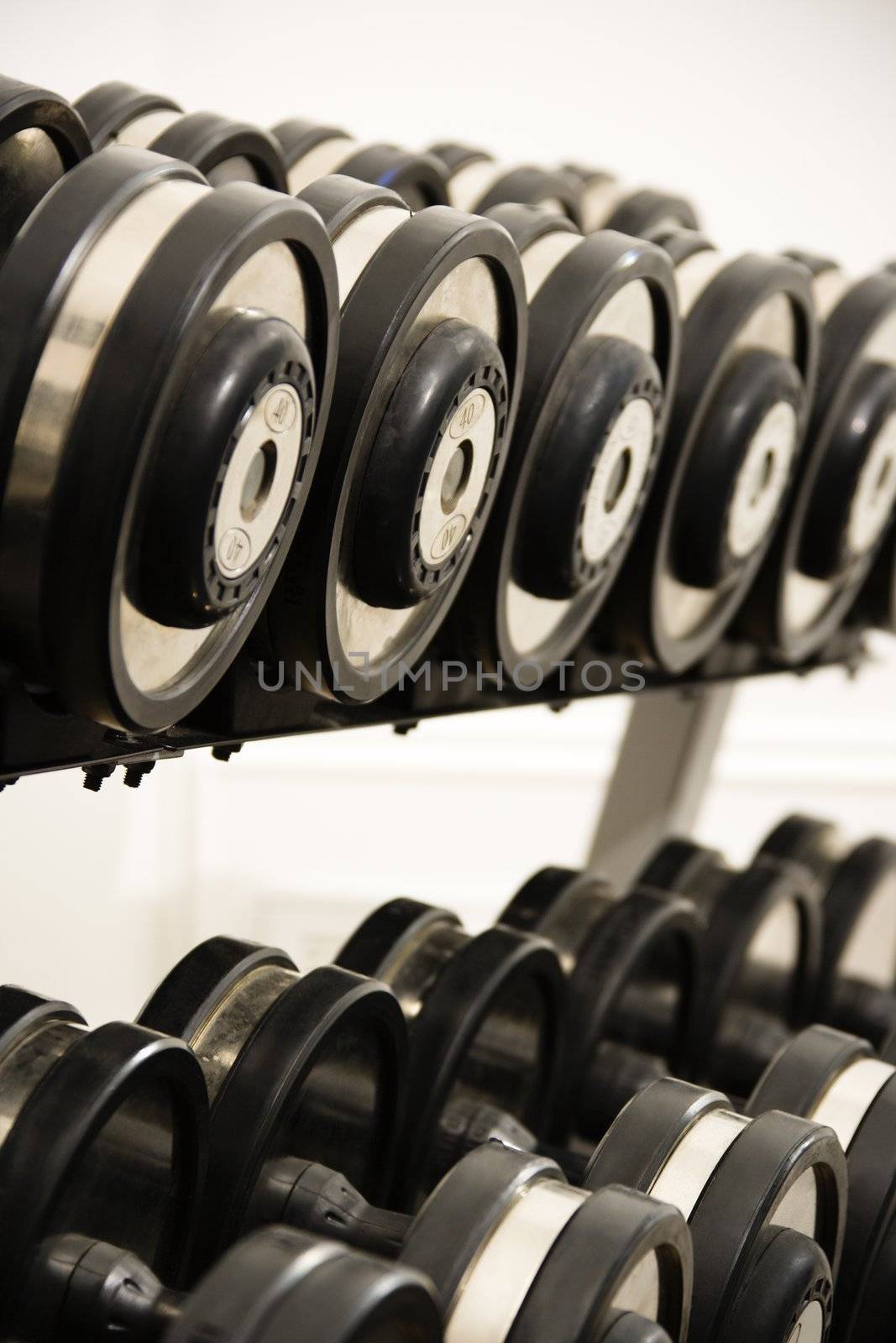 Rack of hand weights on rack.