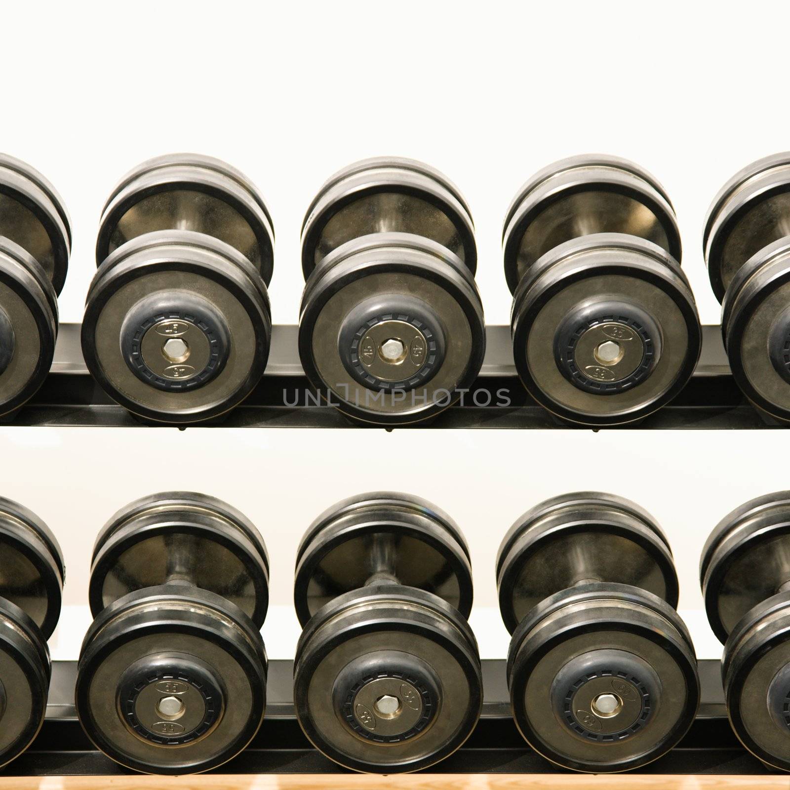 Hand weights on rack at health club.