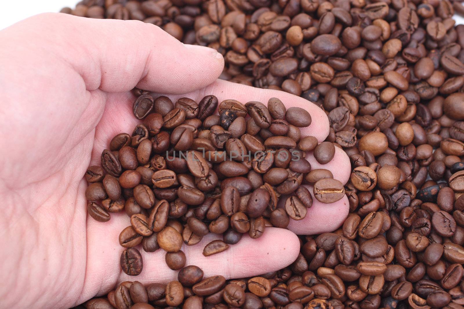 Male hands holding coffee beans