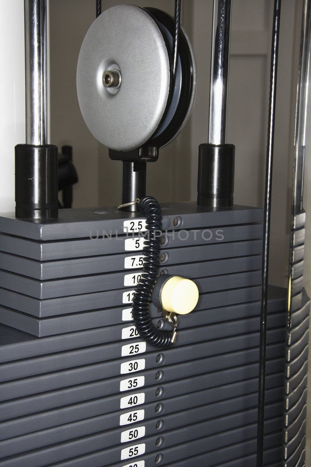 Cable machine fitness equipment.