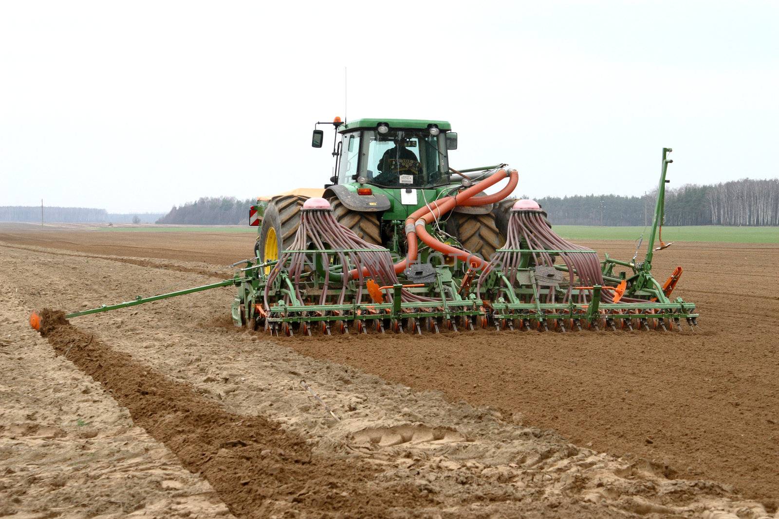 Machine harvesting the corn field
