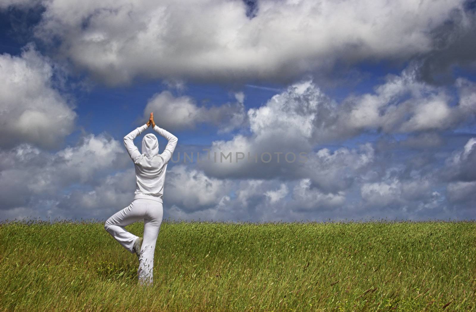 Beautiful athletic woman making yoga on a beautiful green meadow