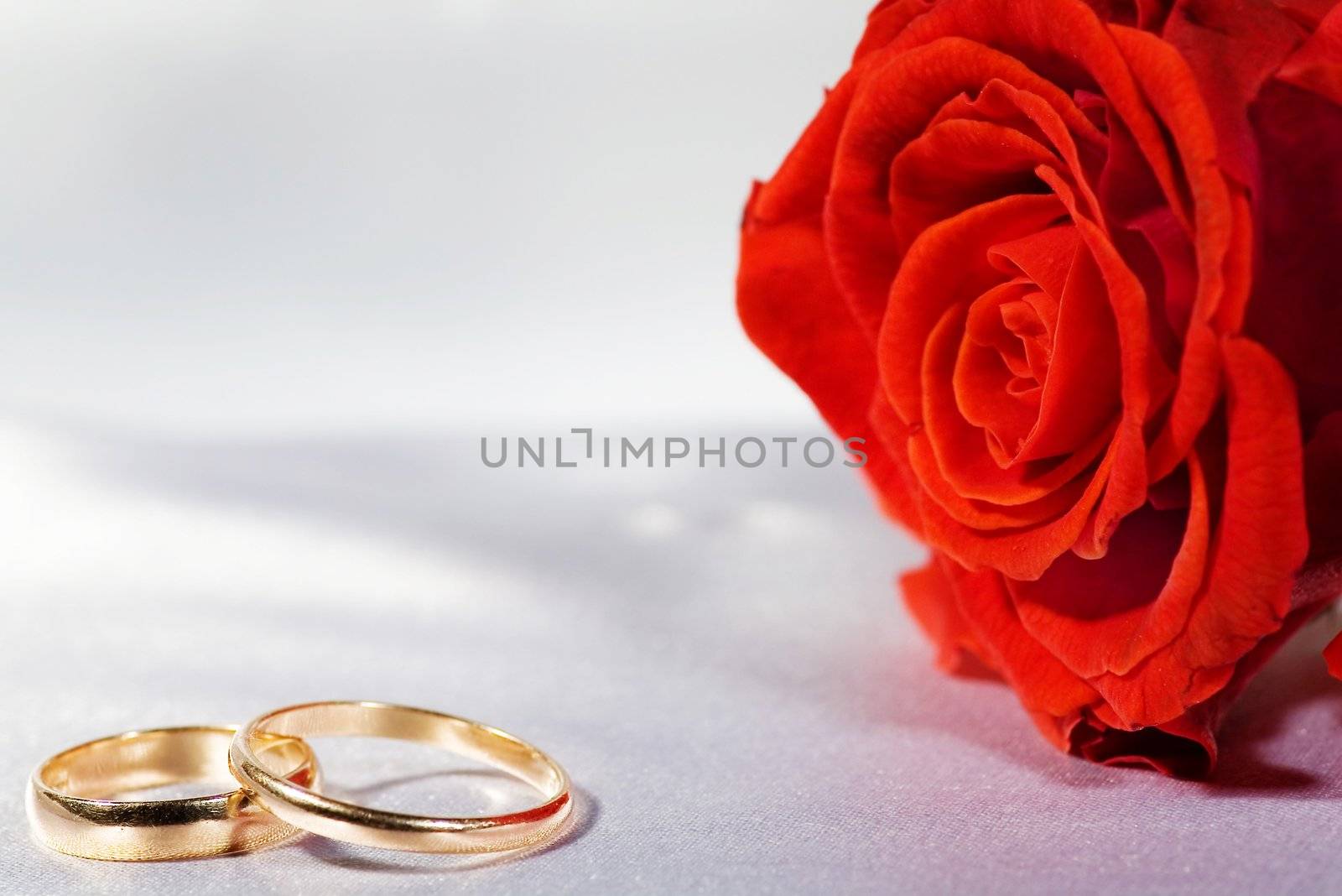 rings and rose by dolnikow