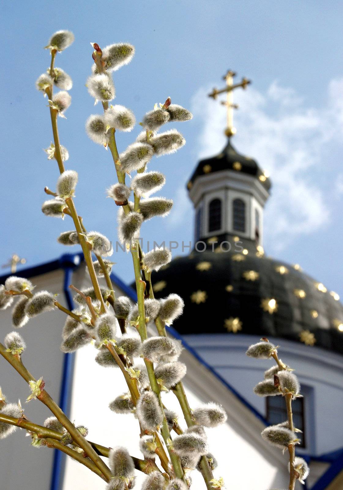 Branches of an easter willow. On a background an orthodox monastery in Grodno