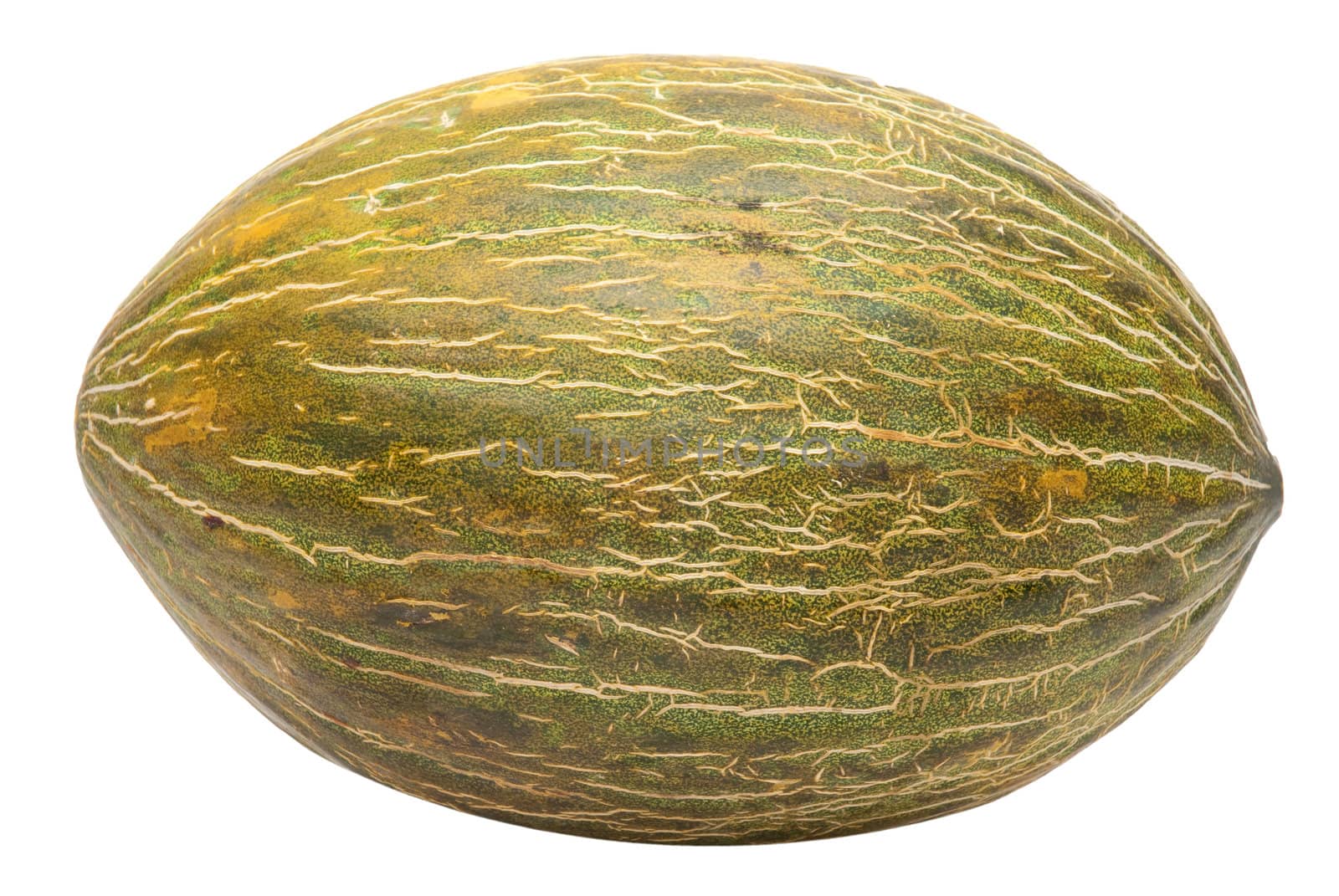 Green melon isolated on white background .
