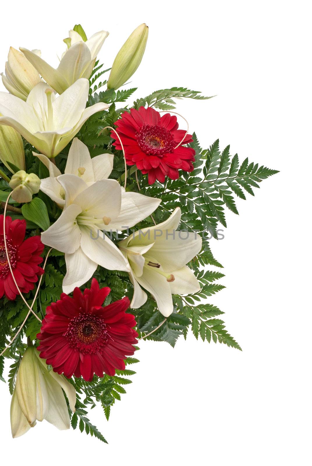 Detail of bouquet of flowers on white background.