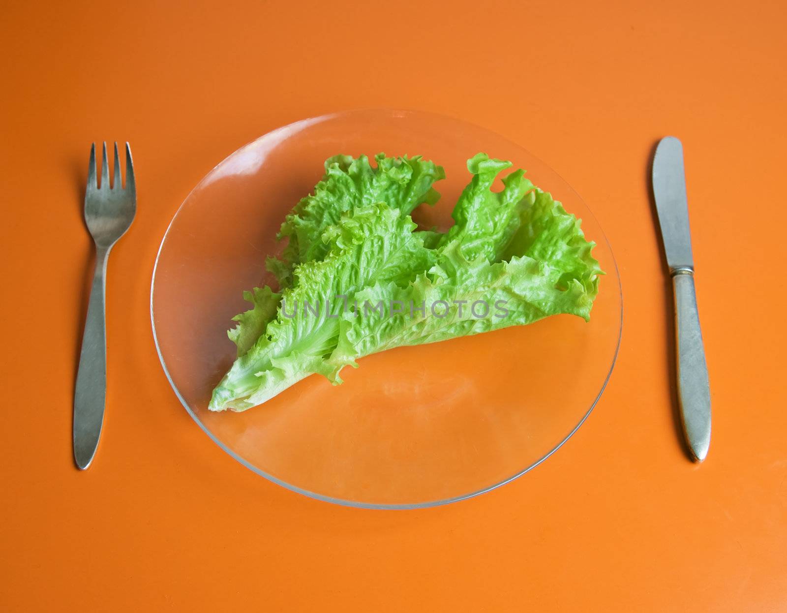 A lettuce leaf on a glass plate, fork and knife
