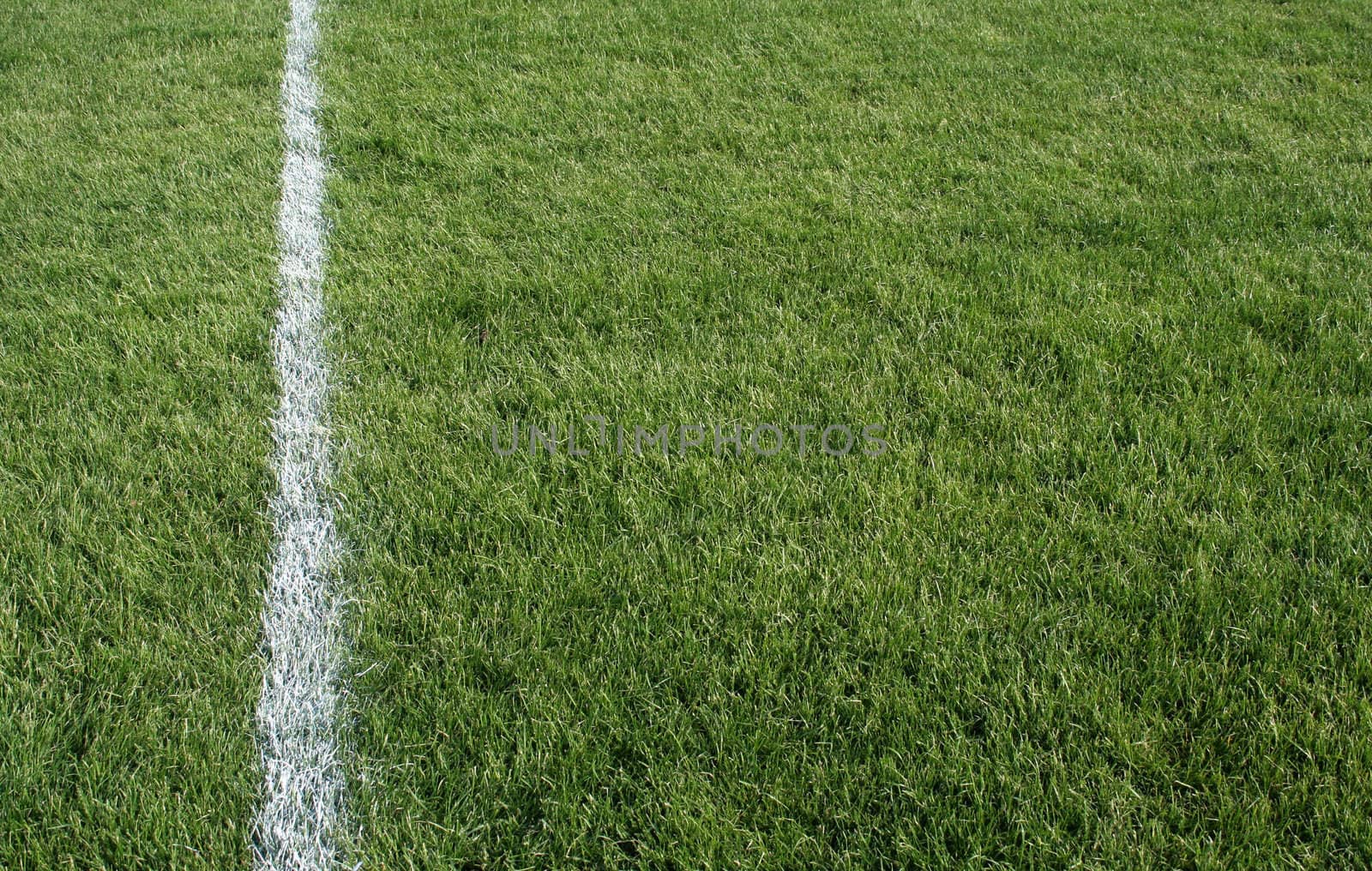 A closeup of a white line on a grass sports field.
