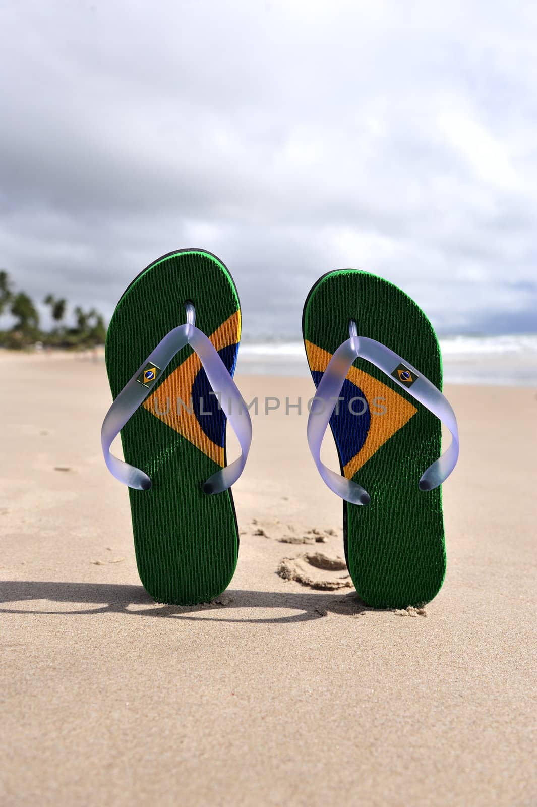 Brazilian Flipflop on the beach