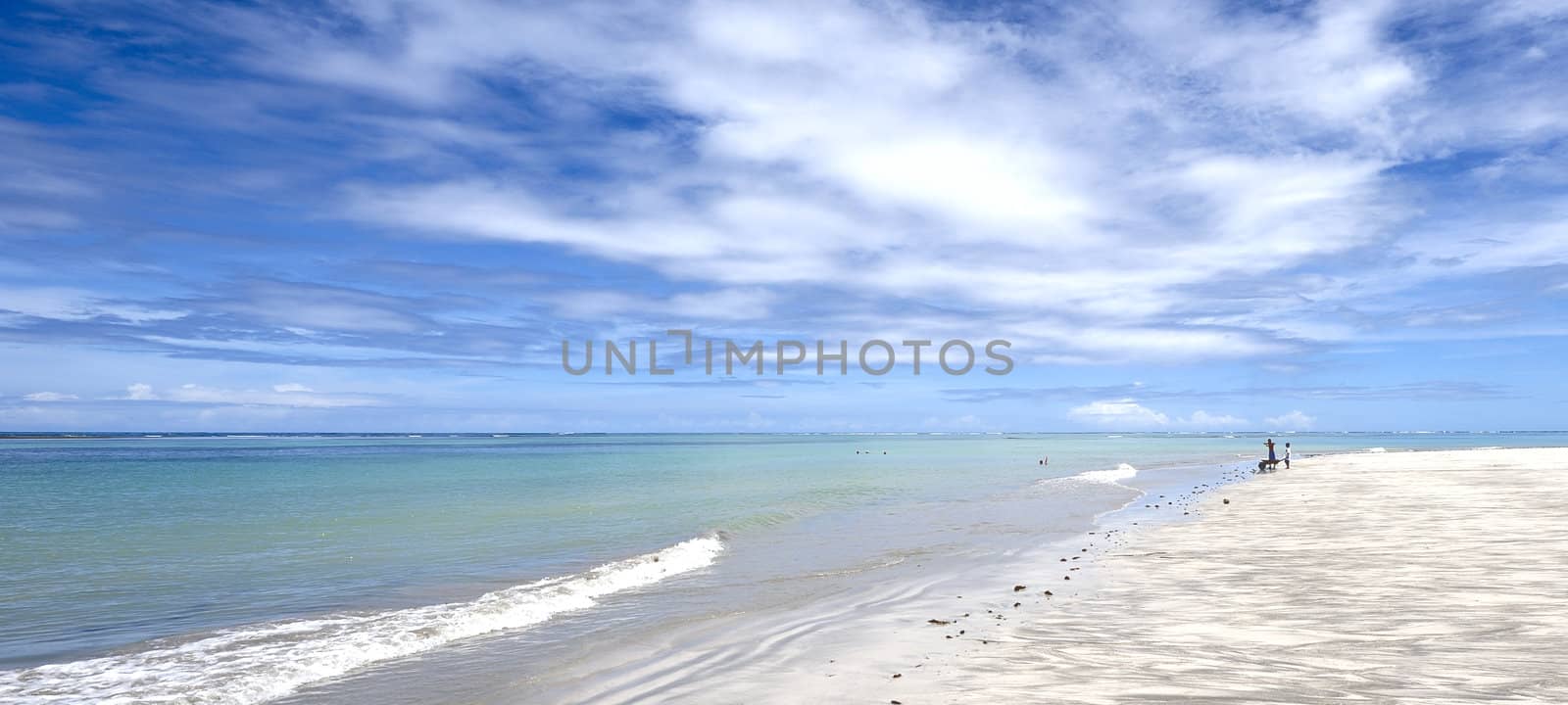 Beach in Brazil by swimnews