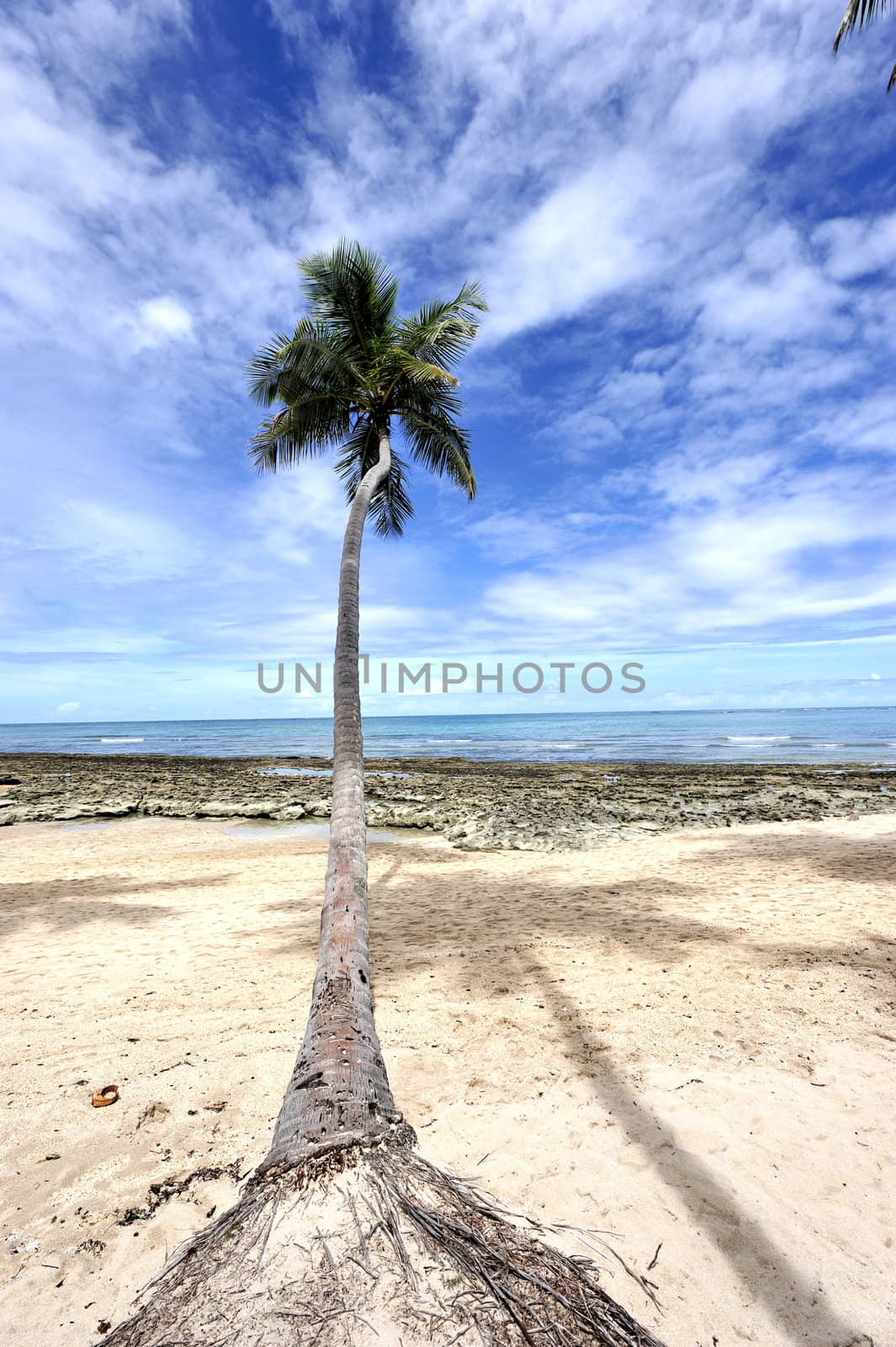 Beach in Brazil
