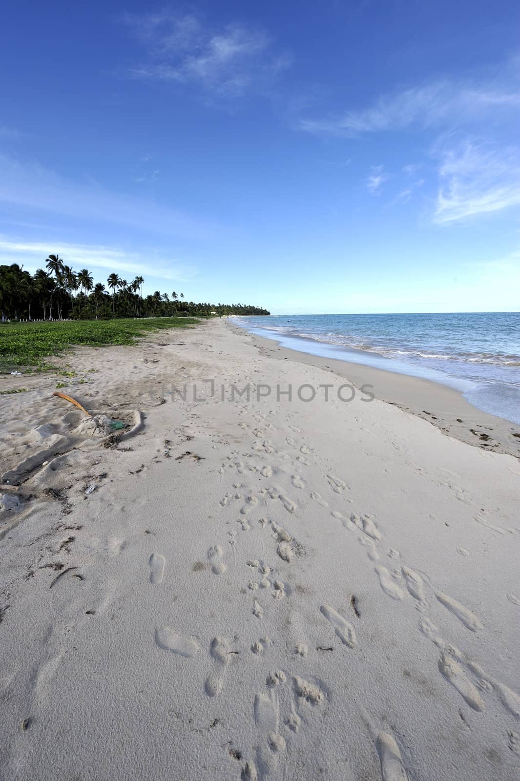 Beach in Brazil
