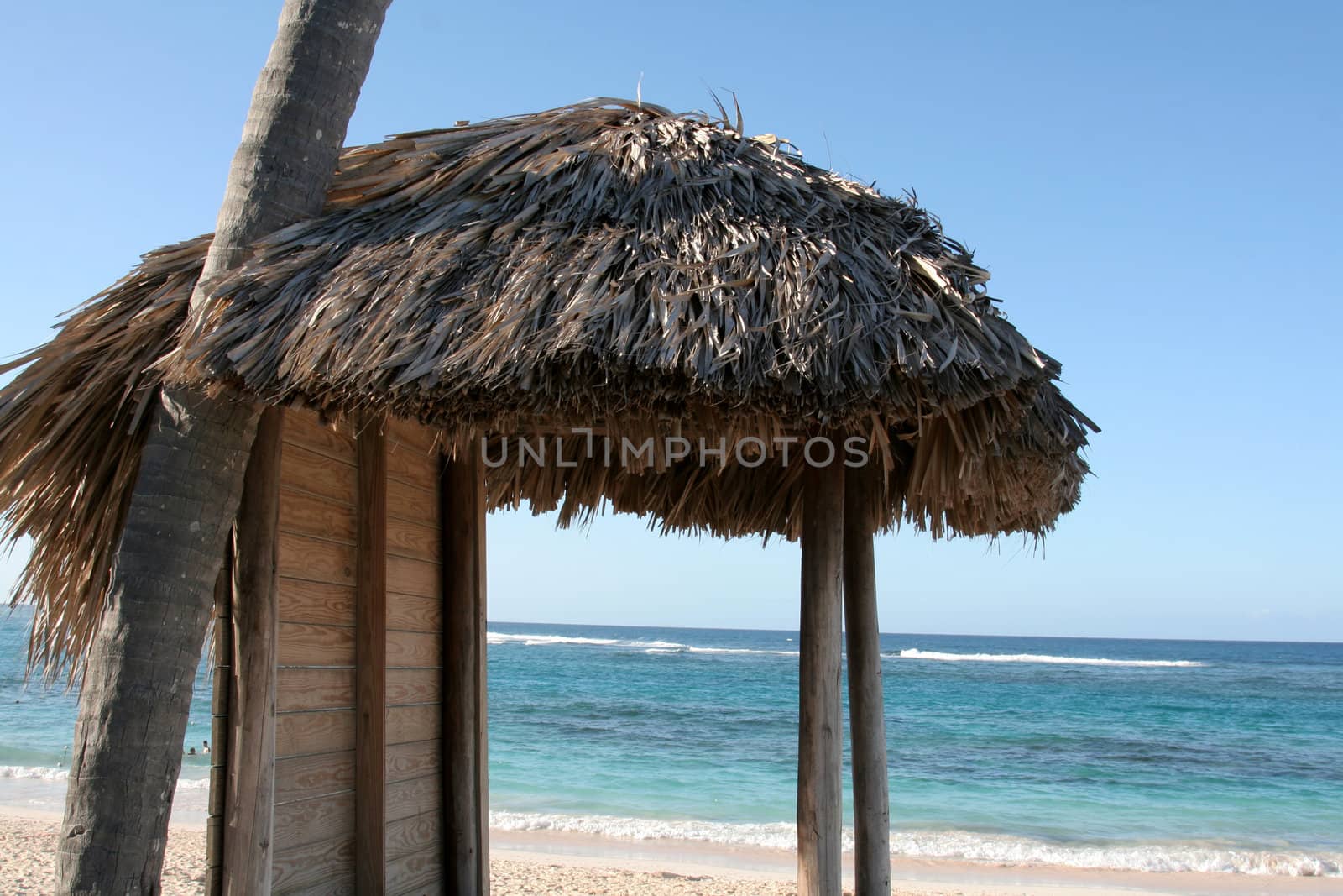 A lonely beach hut on a beautiful beach.