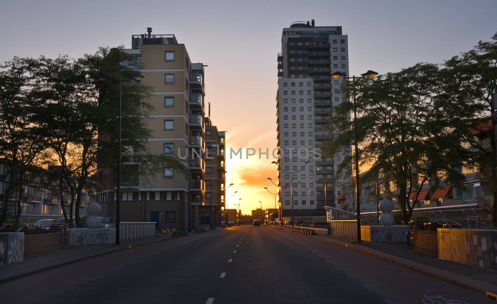 City road and modern residential buildings at sunset in summer