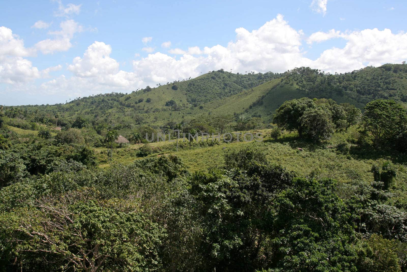 The lush rolling hills landscape of the countryside near Punta Cana, Dominican Republic.