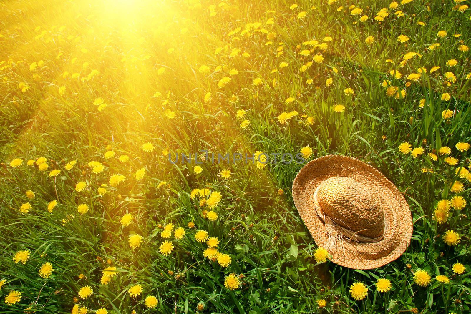 Rays of afternoon sun on green grass with straw hat