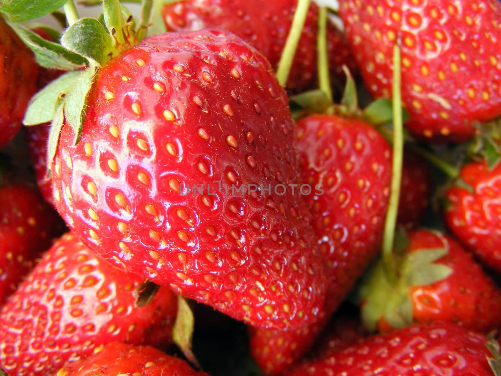 Strawberry background by maryp