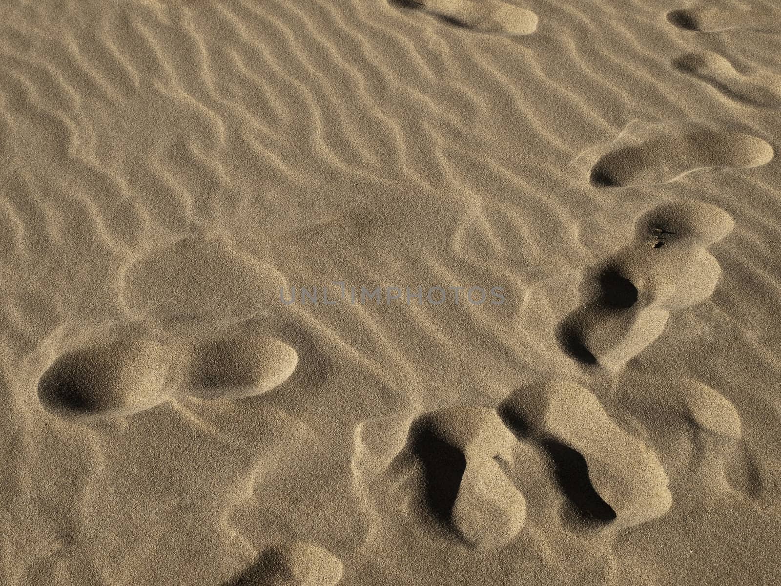 Footsteps or marks on the sand in a desert or on a beach