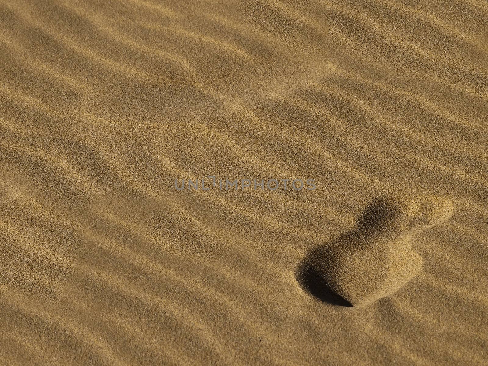 Footstep on the sand in a desert or on a beach